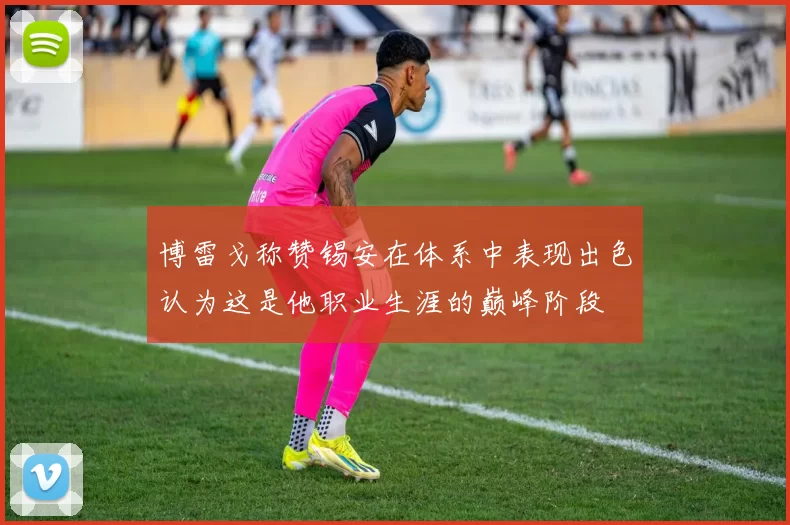 博雷戈称赞锡安在体系中表现出色认为这是他职业生涯的巅峰阶段